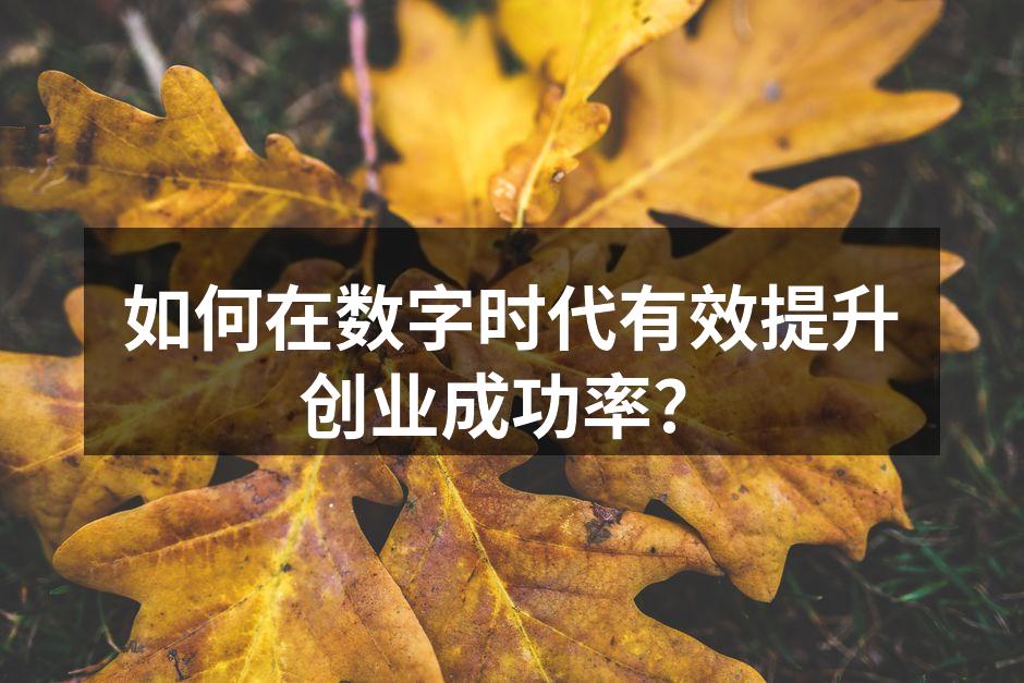 如何在数字时代有效提升创业成功率？