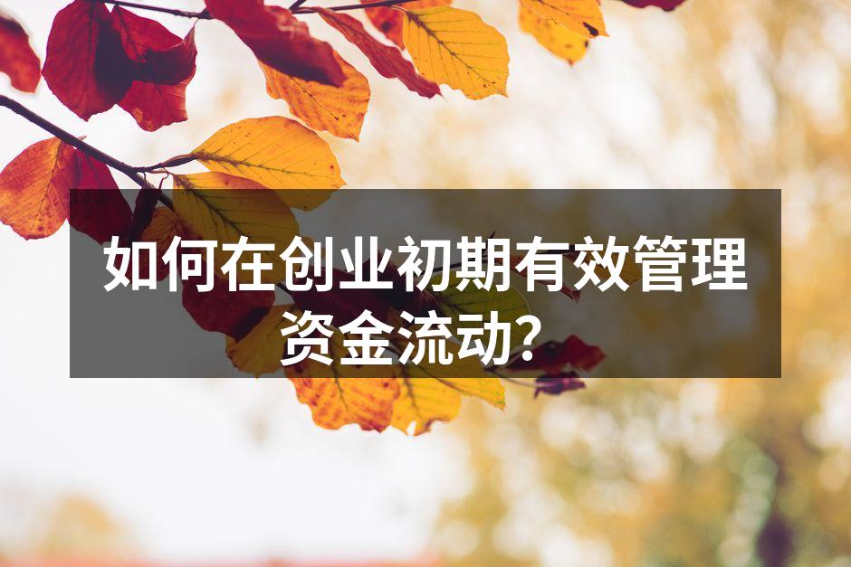 如何在创业初期有效管理资金流动？