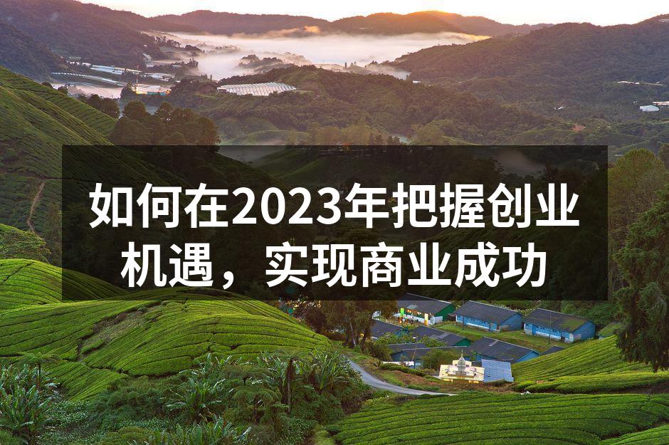 如何在2023年把握创业机遇，实现商业成功