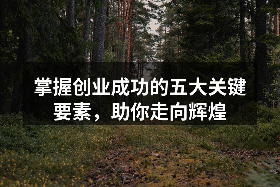 掌握创业成功的五大关键要素，助你走向辉煌